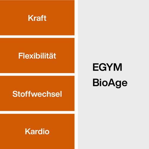 Wie wird das EGYM BioAge ermittelt